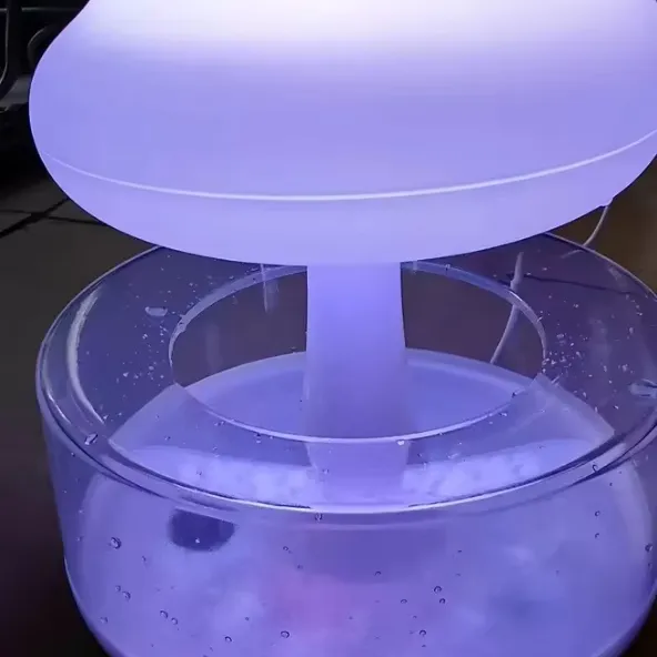 Rain Cloud Humidifier - Product Overview